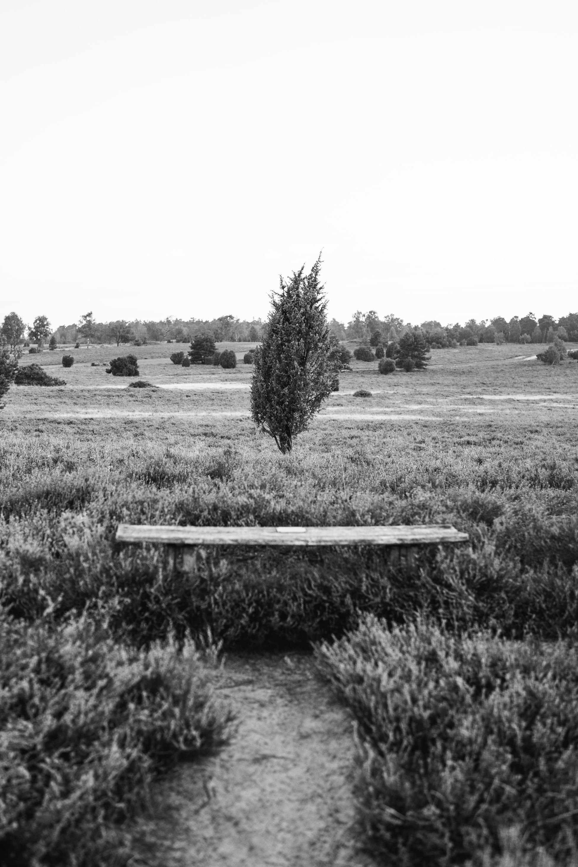 Landscape Photo 24